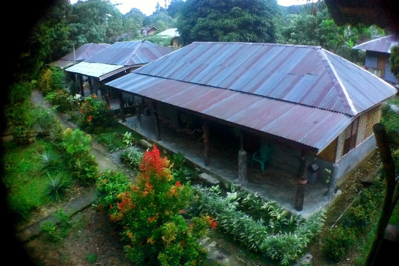 Green Lodge Tangkahan 외부 사진
