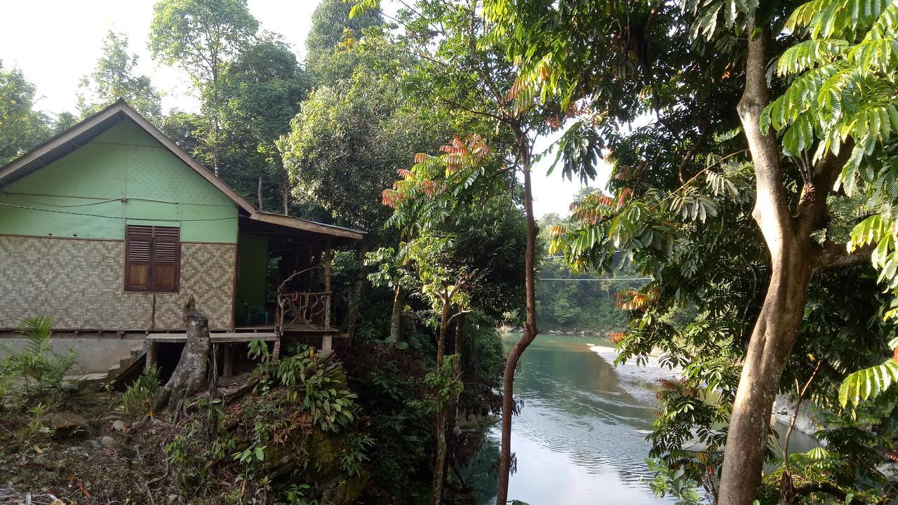 Green Lodge Tangkahan 외부 사진