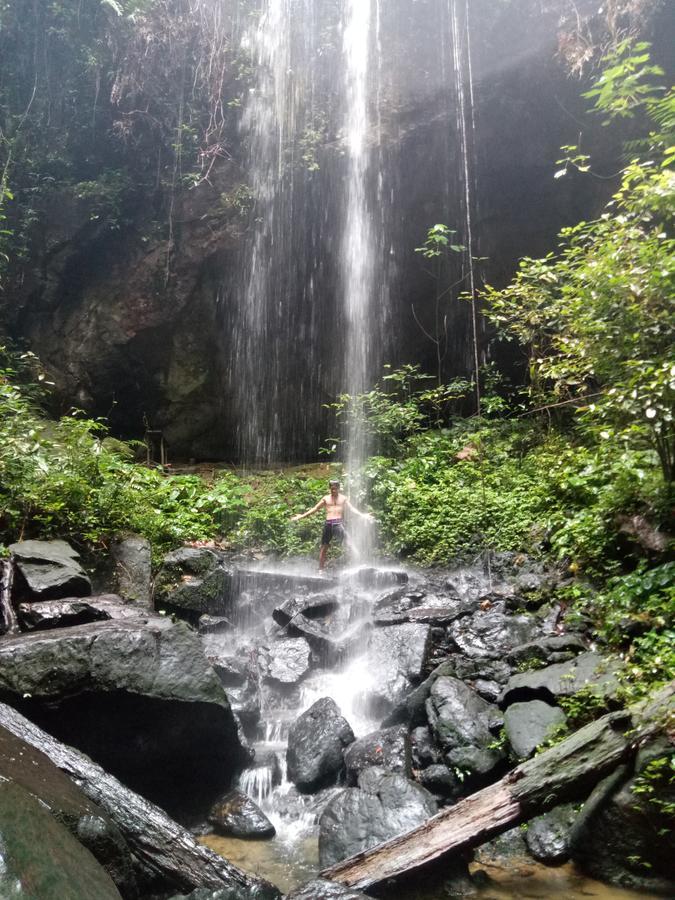 Green Lodge Tangkahan 외부 사진