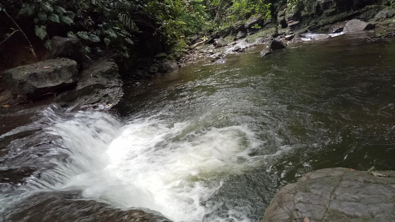 Green Lodge Tangkahan 외부 사진